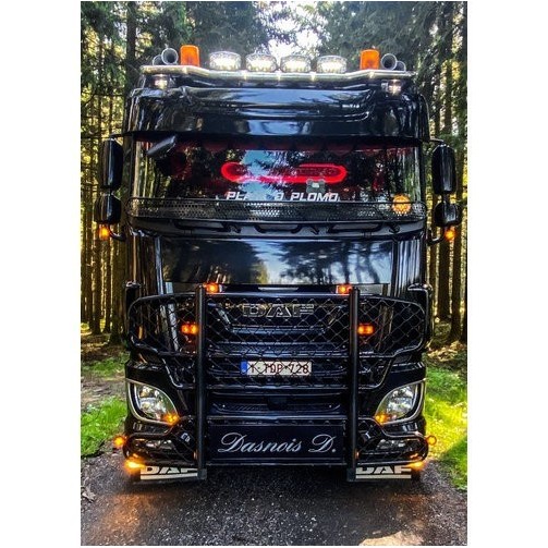 Truck is Drug - DAF XF 106 Space Cab - Sunvisor