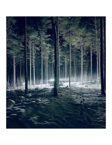 PURELUX Panther Alpha 30 Wide - LED work light 5000K