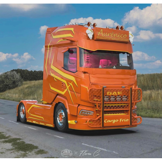 HYPRO - Aluminium bullbar DAF XF/XG/XG+